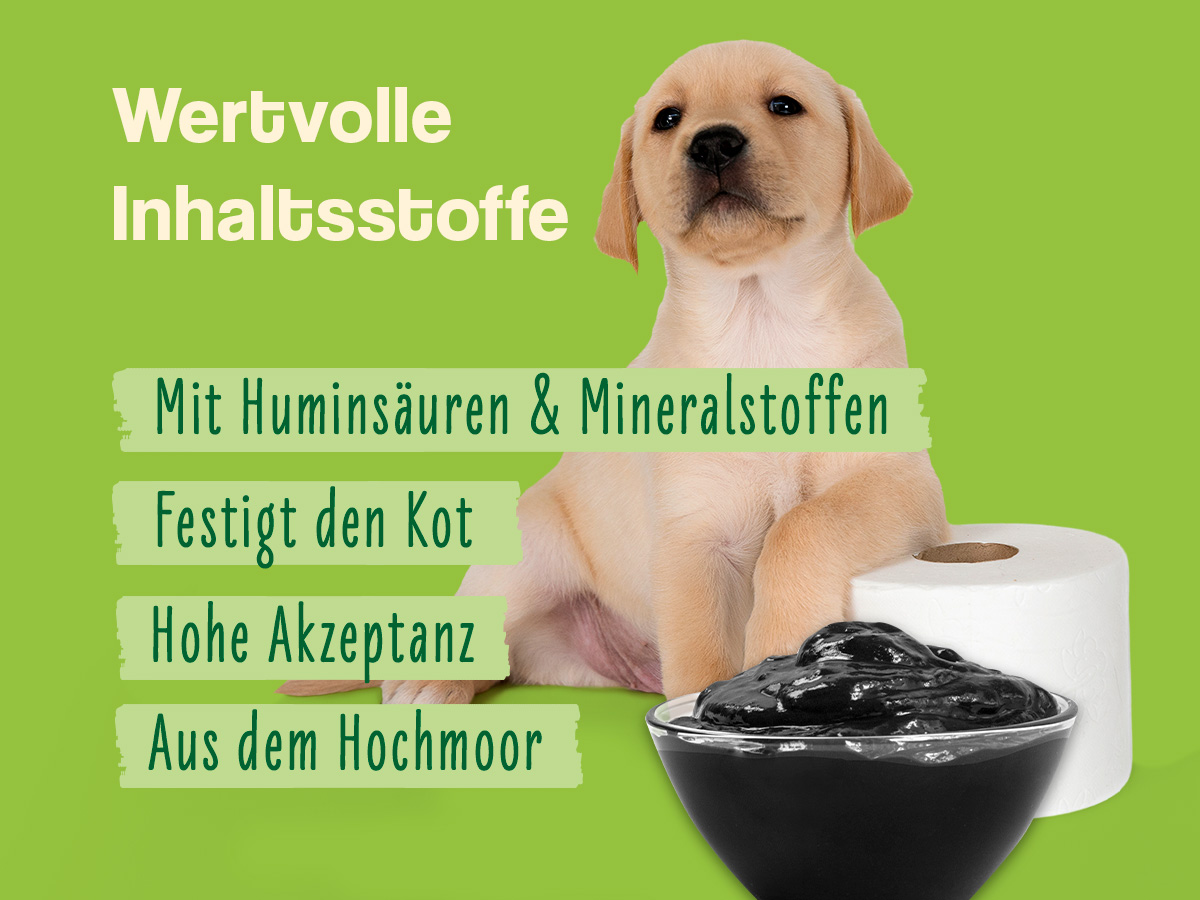 Inhalt_Mobile_Heilmoor_600x450