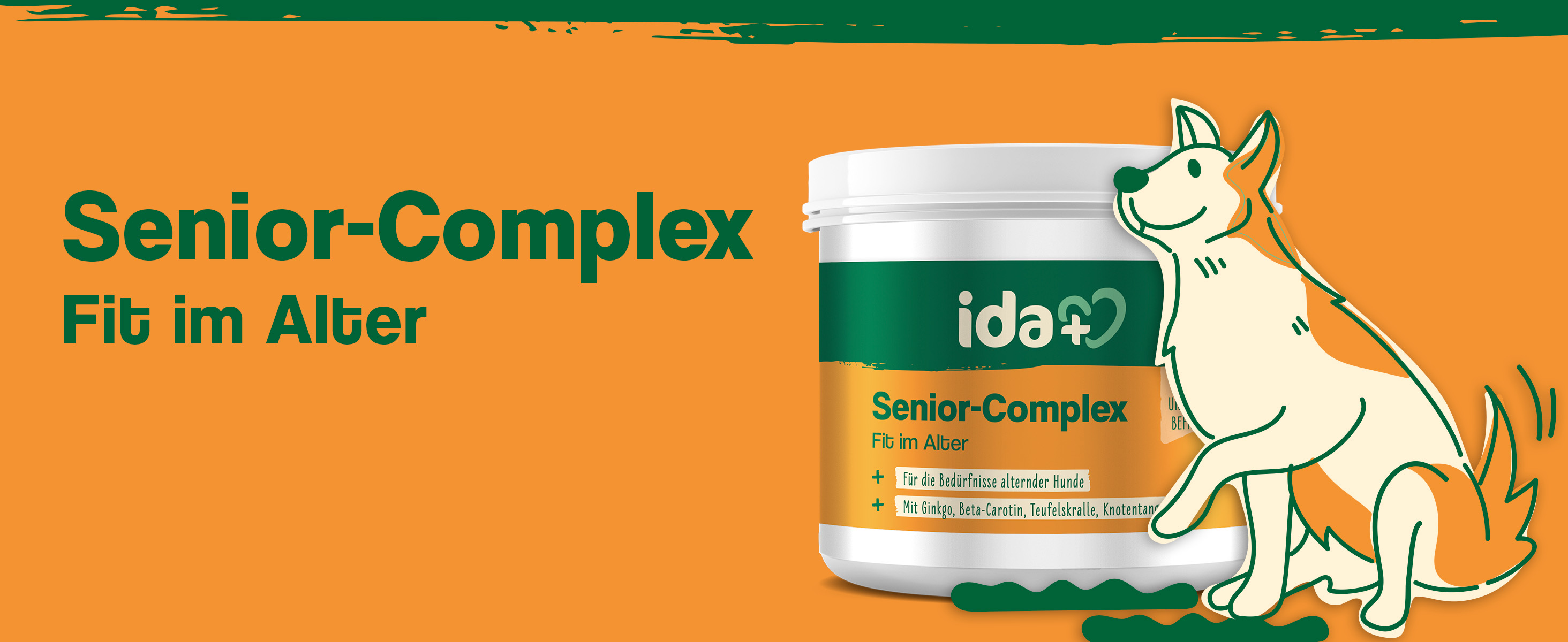 Senior Complex Fit im Alter